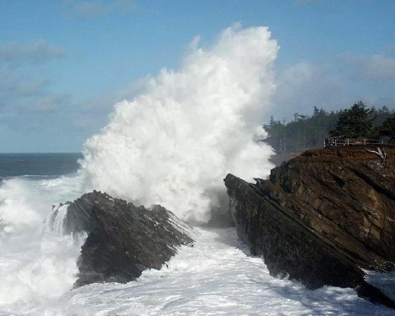 Shore Acres State Park - Coos Bay, Oregon